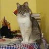 Отзыв от Оксана Хохлова